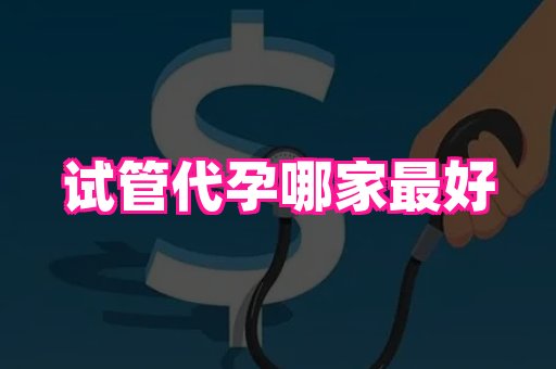 国际助孕网 1