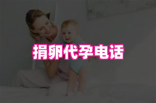 国际助孕网 2