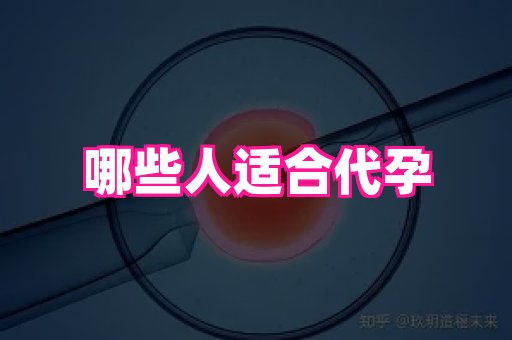 国际助孕网 4